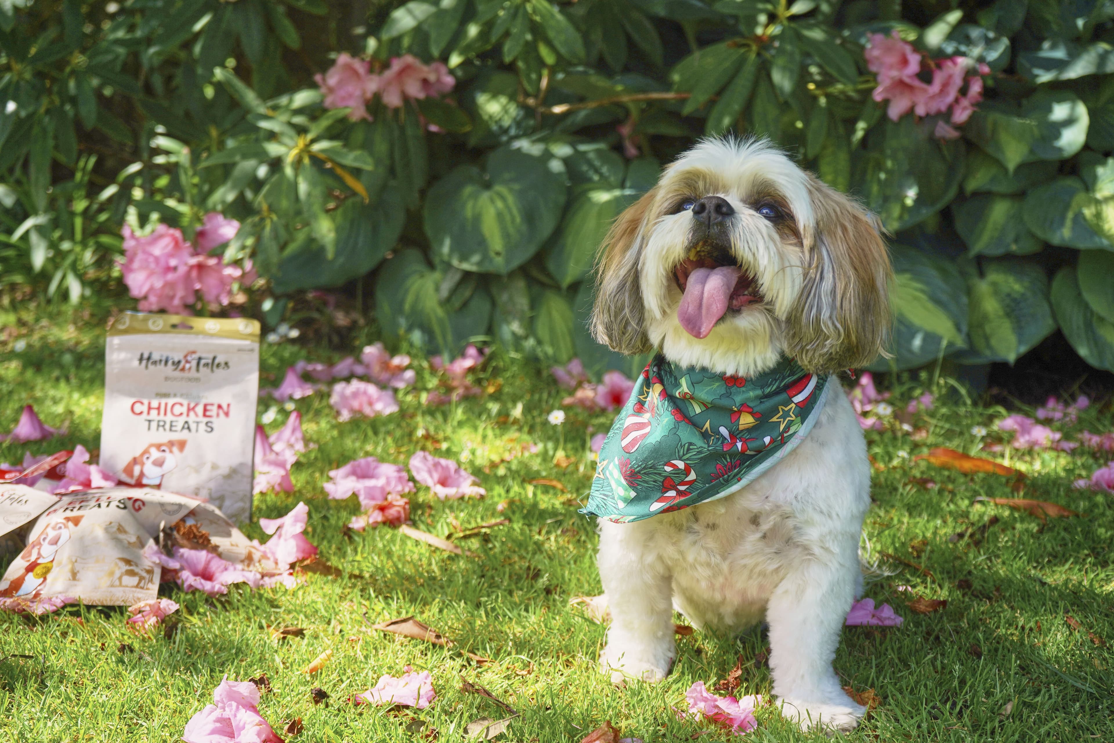 Hairy Tales Pet Food