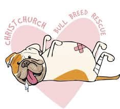 Christchurch Bull Breed Rescue